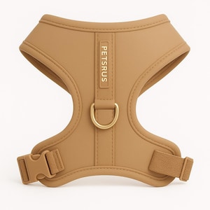 Luxurious beige dog harness from PETsRUS featuring elegant rose gold hardware. This adjustable no-pull harness is made with soft neoprene and breathable mesh lining for ultimate comfort. Designed for small and medium dogs, it offers front and back D-rings, easy side buckle, and stylish neutral tones. Ideal for fashionable daily walks, puppy training, and secure outdoor adventures. Custom fit for all-day wear.