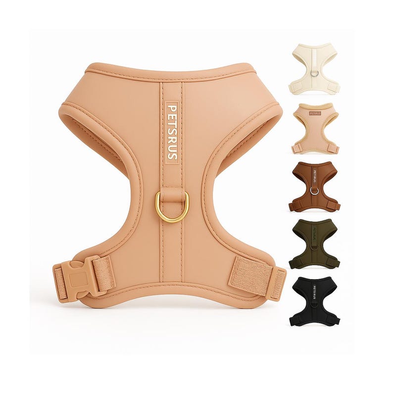 PETsRUS adjustable no-pull dog harness in beige with gold hardware, shown with six additional color options including ivory, fleece brown, bronze, khaki green, black, and charcoal. Made with soft neoprene and breathable mesh, this padded vest harness is ideal for small and medium dogs. Features front and back D-rings for leash training, secure fit with side buckle, and stylish design. Modern dog walking gear for comfort, control, and fashion-forward pet owners.