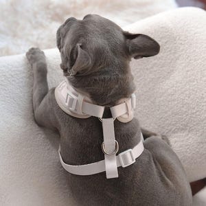 Neoprene No Pull Dog Harness | Adjustable Padded Vest with Dual Leash Clips | Soft Mesh Breathable Everyday Walking Gear Neutral Colors image 7