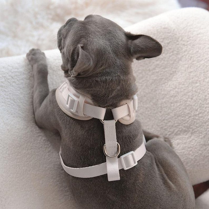 Neoprene No Pull Dog Harness | Adjustable Padded Vest with Dual Leash Clips | Soft Mesh Breathable Everyday Walking Gear Neutral Colors image 7