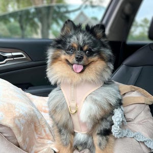 Neoprene No Pull Dog Harness | Adjustable Padded Vest with Dual Leash Clips | Soft Mesh Breathable Everyday Walking Gear Neutral Colors image 11