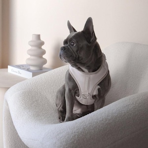 Neoprene No Pull Dog Harness | Adjustable Padded Vest with Dual Leash Clips | Soft Mesh Breathable Everyday Walking Gear Neutral Colors image 6