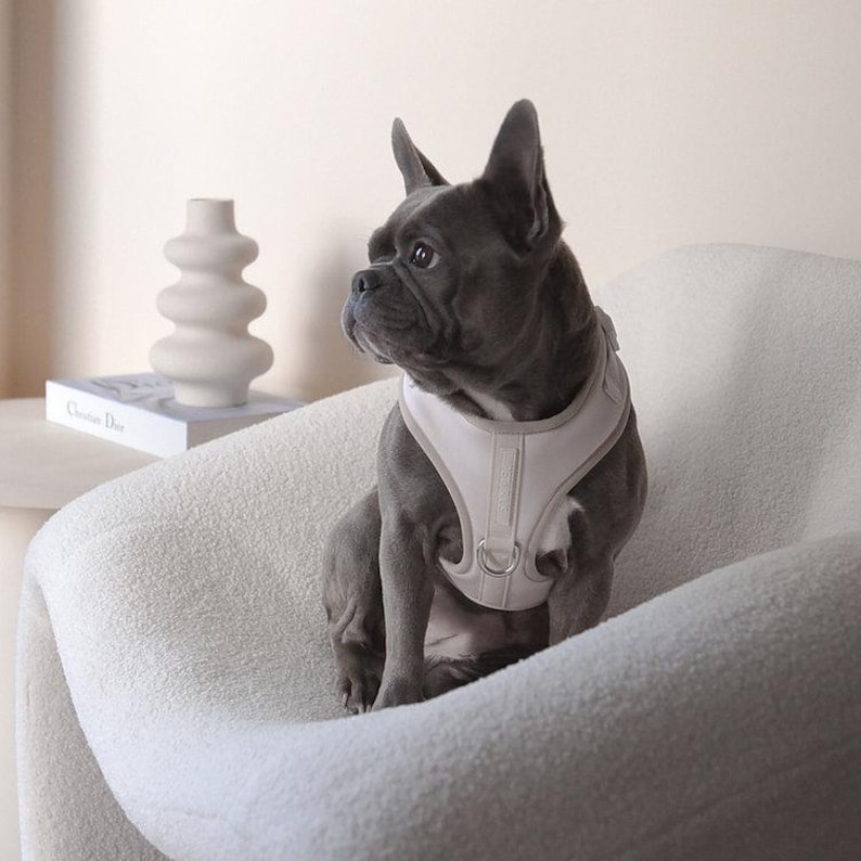 Neoprene No Pull Dog Harness | Adjustable Padded Vest with Dual Leash Clips | Soft Mesh Breathable Everyday Walking Gear Neutral Colors image 6