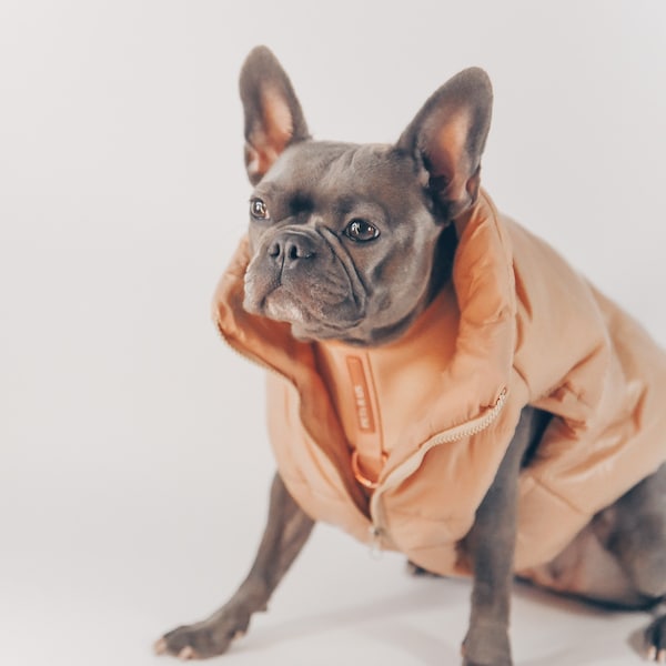 Winter Dog Vest Etsy