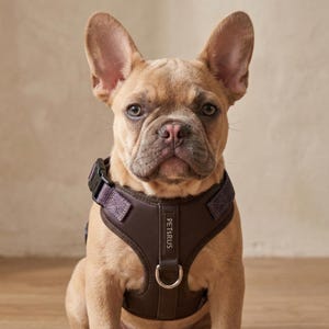 Neoprene No Pull Dog Harness | Adjustable Padded Vest with Dual Leash Clips | Soft Mesh Breathable Everyday Walking Gear Neutral Colors image 13