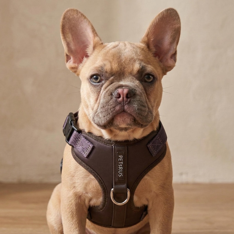Neoprene No Pull Dog Harness | Adjustable Padded Vest with Dual Leash Clips | Soft Mesh Breathable Everyday Walking Gear Neutral Colors image 13