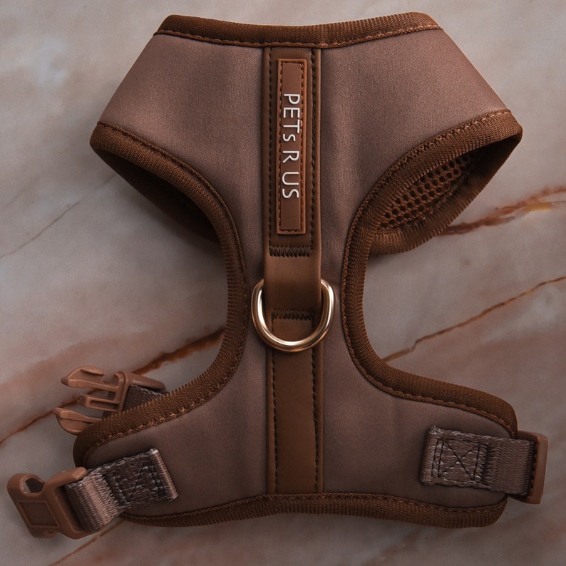 PETs R US Brown Adjustable Dog Harness No Pull Bronze Silver Gold Premium Neoprene Leather Design Cat Sport Small Medium Breathable Brown Champagne Gold