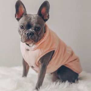Dog corduroy jacket 2025