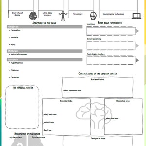 Revision Posters Unit 1 VCE Psychology 2023 2027 SD image 4