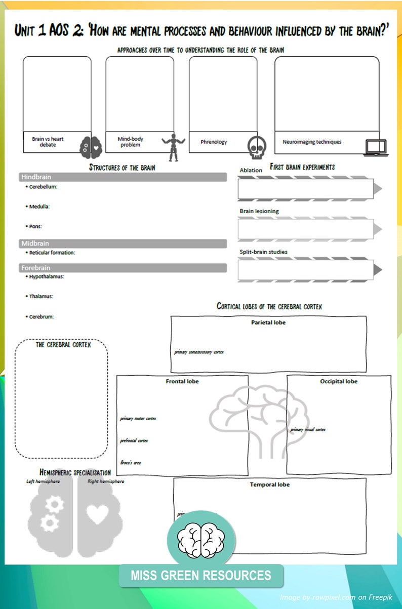 Revision Posters Unit 1 VCE Psychology 2023 2027 SD image 4