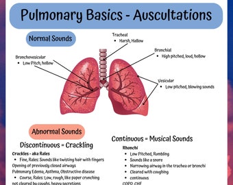 Nursing school notes, Med Surg Pulmonary Basics, pulmonary anatomy, sounds, O2 Delivery Master the basics and with these nursing cheat sheet