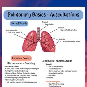 Nursing school notes, Med Surg Pulmonary Basics, pulmonary anatomy, sounds, O2 Delivery Master the basics and with these nursing cheat sheet