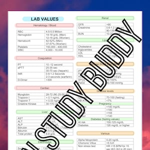 Nursing Lab Values Quick reference cheat sheet. one page study guide with some of the most common labs and their values for students