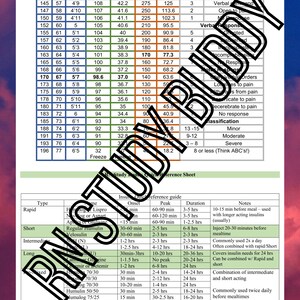 Clinical Cheat sheets Patient care log perfect for nursing image 1