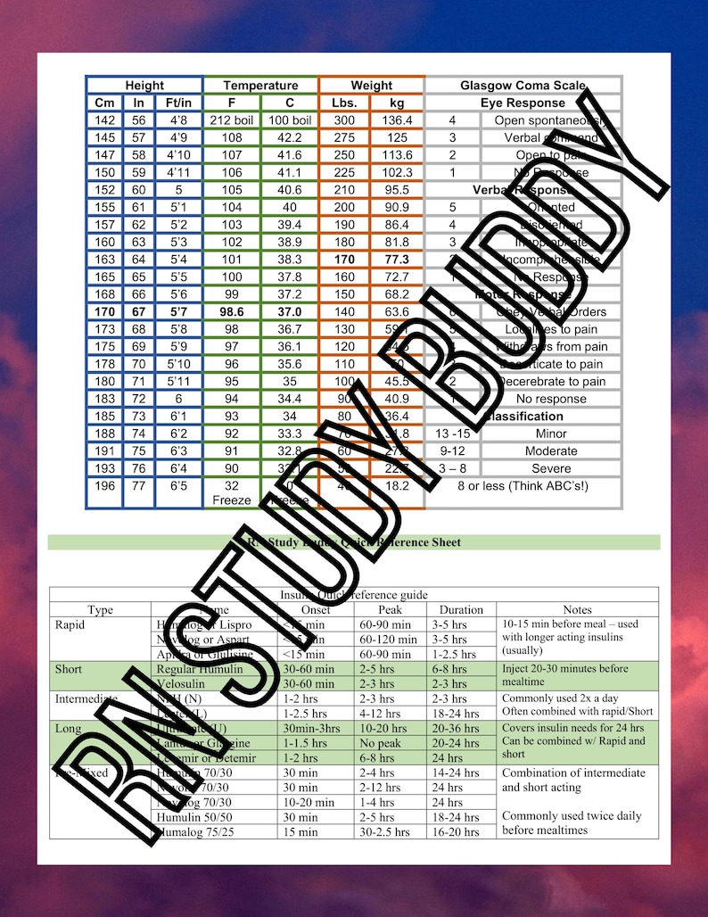 Clinical Cheat sheets, Patient care log, perfect for nursing students during clinicals and recording information for a care plan. Digital image 1