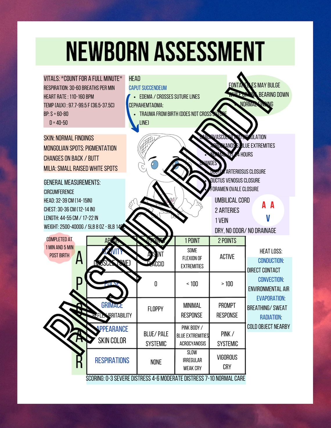 Maternal Newborn Nursing cheat sheet and study guide hesi Etsy