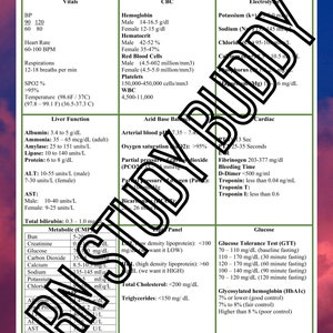 Clinical Cheat sheets, Patient care log, perfect for nursing students during clinicals and recording information for a care plan. Digital image 2