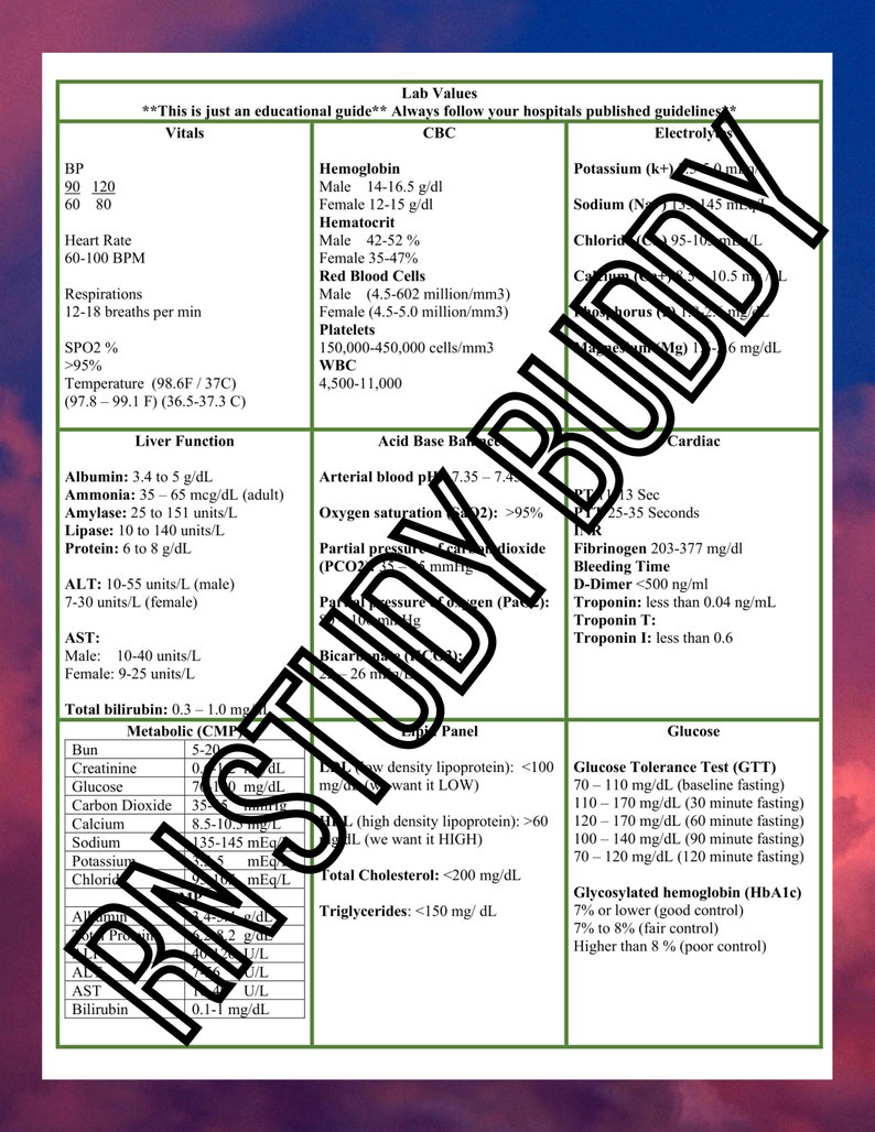 Clinical Cheat sheets, Patient care log, perfect for nursing students during clinicals and recording information for a care plan. Digital image 2