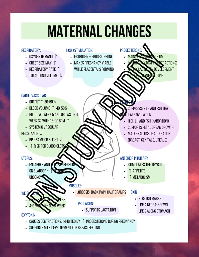 Maternal Newborn Nursing cheat sheet and study guide hesi Etsy