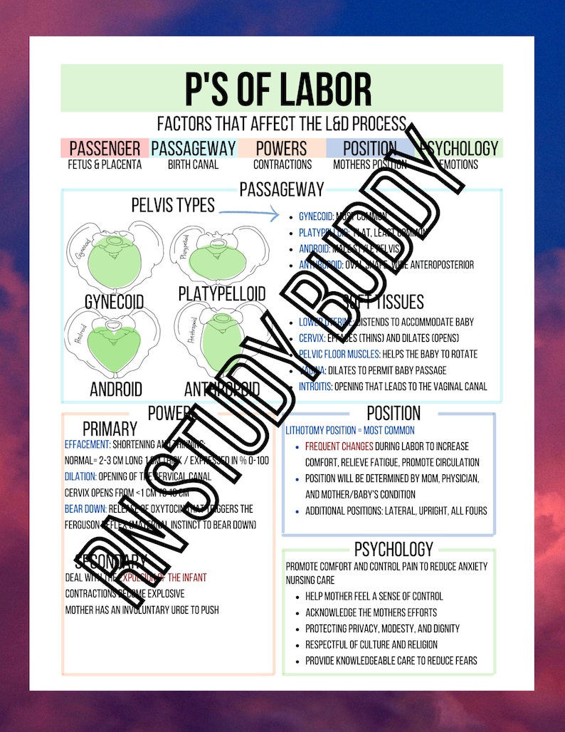 Nursing Cheat Sheet for Maternal Newborn, 5 P's of Labor, (this Item is