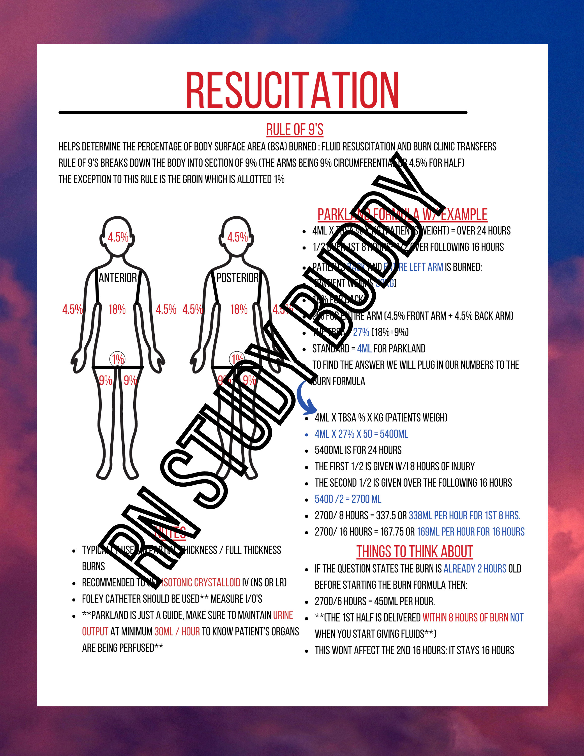 Medsurg burns nursing care of patients with burns rule of 9s Etsy Canada