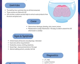 Nursing school notes, MedSurg Neurology Hydrocephalus, this cheat sheet gives you the need to know information.