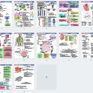Nursing A&P Notes, Anatomy and Physiology for Nursing Students, Anatomy ...