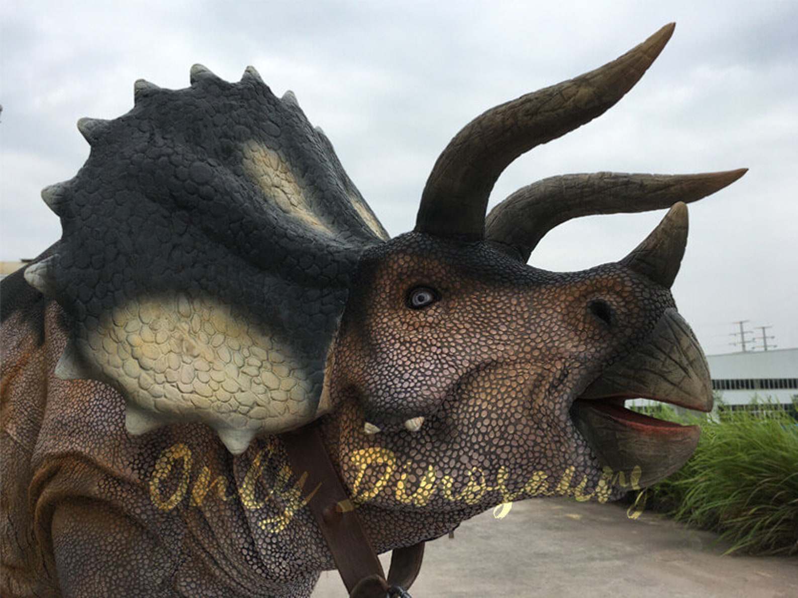 realistic triceratops