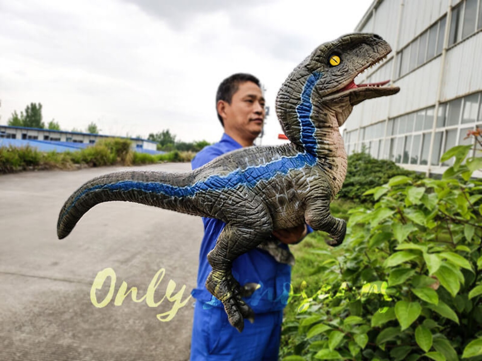 Jurassic Baby Blue Raptor Dinosaur Hand Puppet Etsy