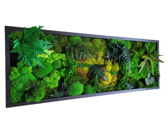 May include: A rectangular framed moss wall art piece with a variety of green moss and ferns. The moss wall art is in a black frame.