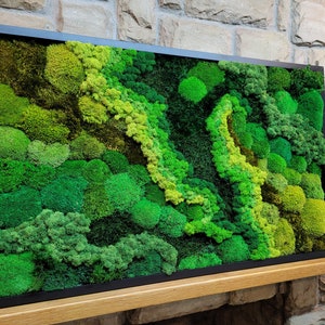 Moss Wall Art – Preserved Moss Frame – Natural Moss Art – Green Wall Decor – Nature Room Decoration