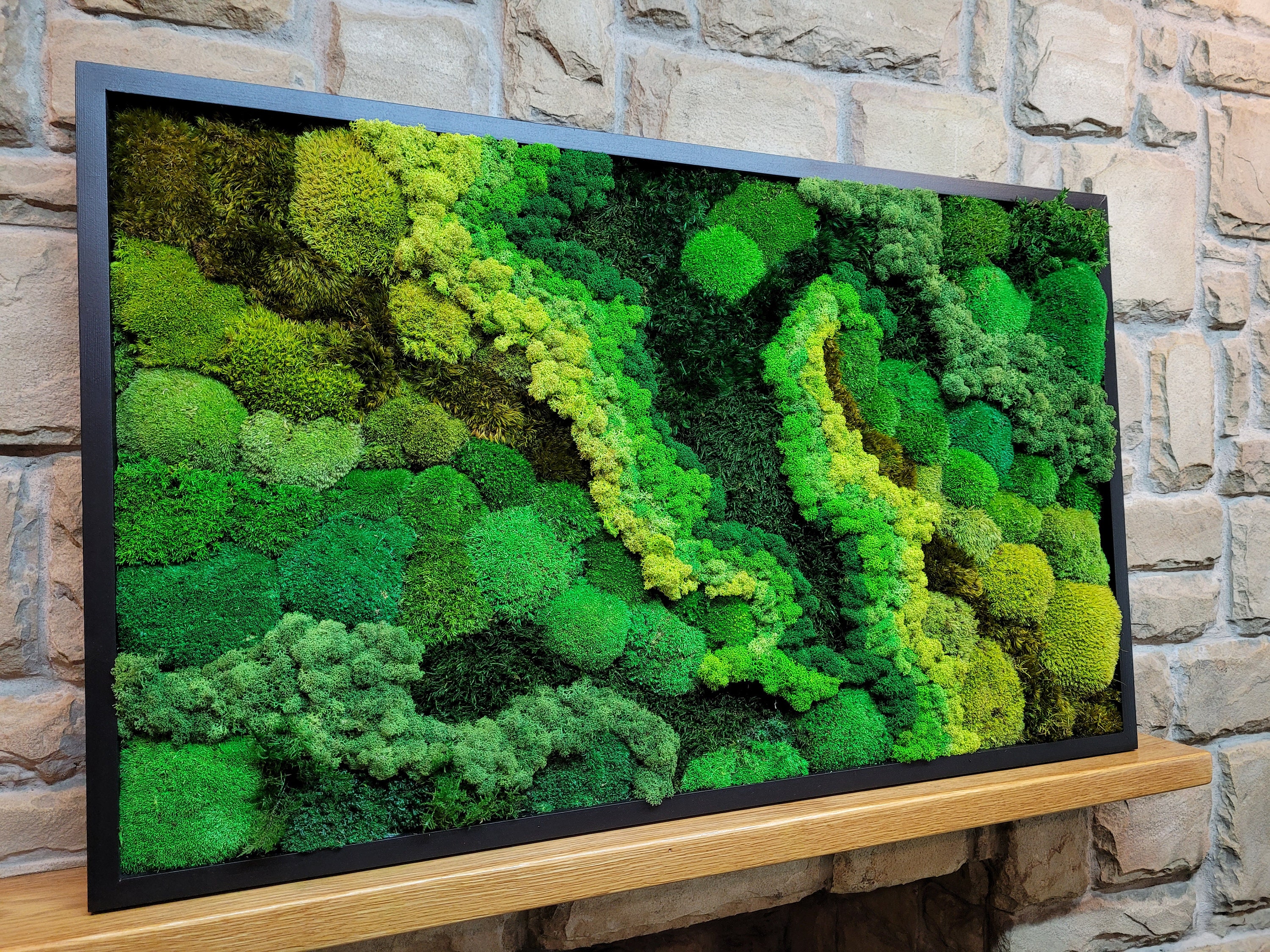 Rainbow Moss wall art with flowers