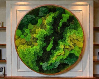 Round Moss Wall Art, Preserved Greenery Decor in Circular Frame