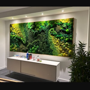 Wall Art Preserved Moss Lighted Moss Wall Beautiful Preserved Moss  Artwork's With LED Lights Live Moss LED 