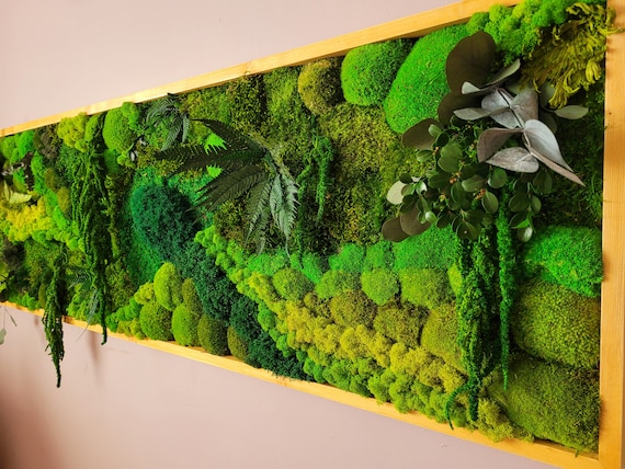 Nature's Canvas Moss Wall