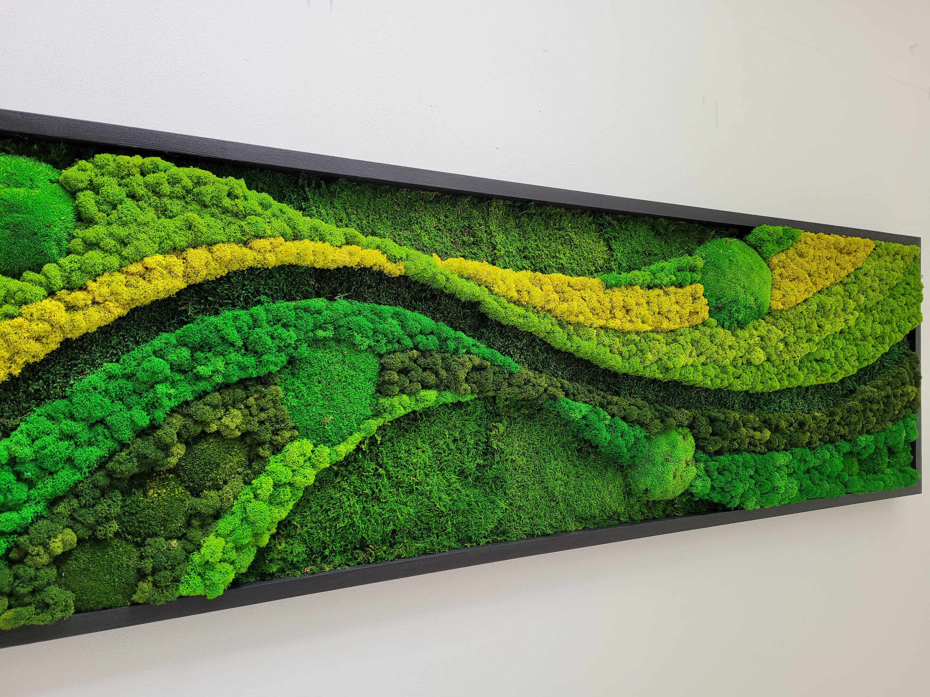 Moss Wall Art, Sustainable Living Wall Decor, 10x10