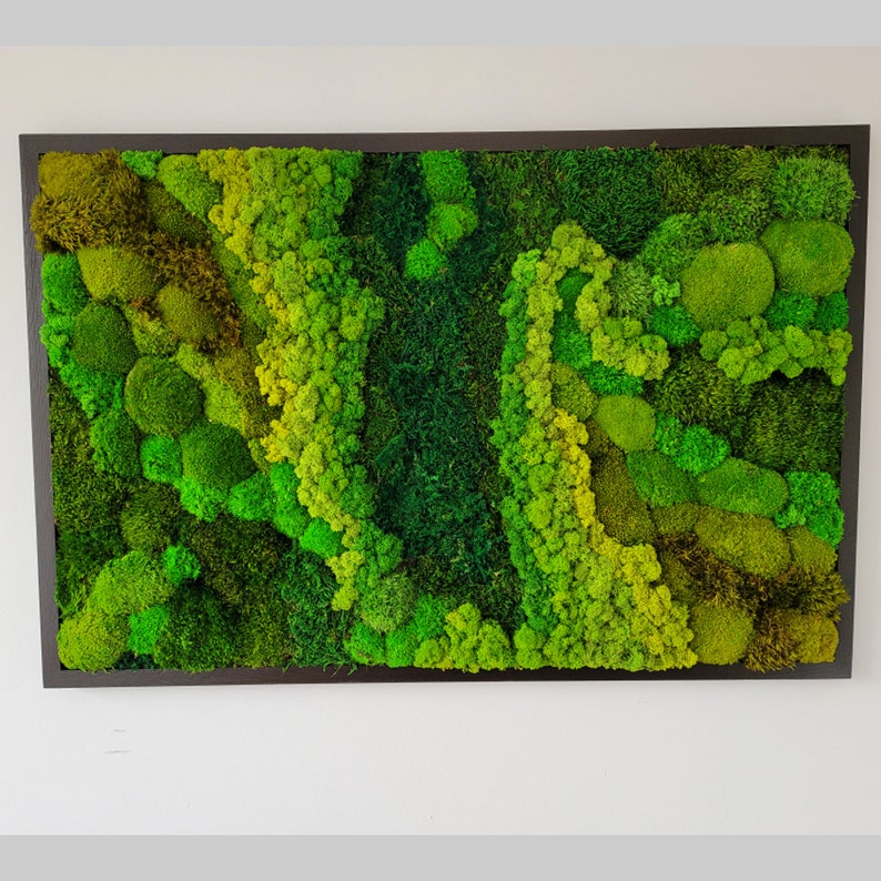 Moss Wall Art. Moss Wall. Greenwall. Moss Frame. Preserved Etsy
