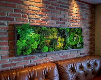 Preserved Moss Wall Art: Framed Green Wall Decor