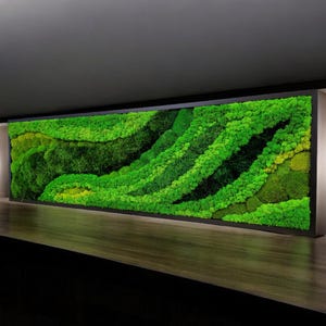 Moss wall art. Moss wall. greenwall. Moss frame. Preserved moss. Moss Art. Moss Wall Art, Nature Room Decor, Art Modern wall