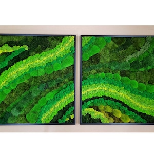 Moss wall art. Moss wall. greenwall. Moss frame. Preserved moss. Moss Art. Moss Wall Art, Nature Room Decor, Art Modern wall