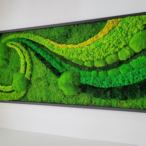 Mos kunst aan de muur. Mos muur. groene muur. Frame van mos. Geconserveerd mos. Mos kunst. Muurkunst mos, kamerdecoratie natuur, afbeelding mos