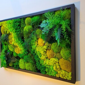 May include: A framed moss wall art piece with a variety of green and yellow moss textures. The moss is arranged in a natural, organic pattern, creating a visually appealing and calming effect.