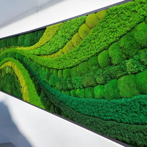 Moss wall art. Moss wall. greenwall. Moss frame. Preserved moss. Moss Art. Moss Wall Art, Nature Room Decor, moss picture