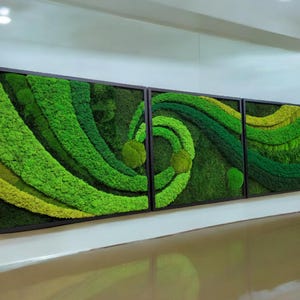 Moss Wall Art – Preserved Moss Frame – Natural Moss Art – Green Wall Decor – Nature Room Decoration