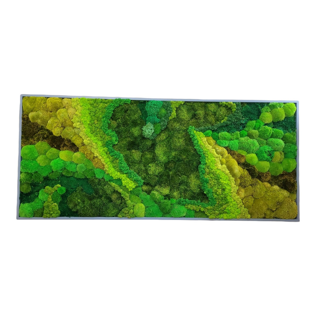 Preserved Moss Wall Art: Green Nature Room Decor - Etsy