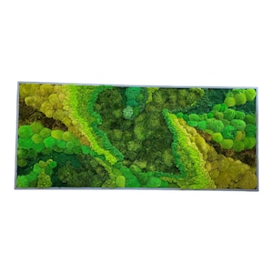 Moss wall art. Moss wall. greenwall. Moss frame. Preserved moss. Moss Art. Moss Wall Art, Nature Room Decor, moss picture