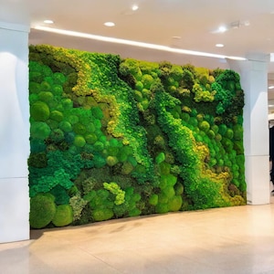 Moss Wall Art – Preserved Moss Frame – Natural Moss Art – Green Wall Decor – Nature Room Decoration