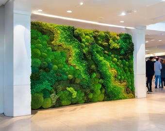 Large Moss Wall Panel for Living Room Decor