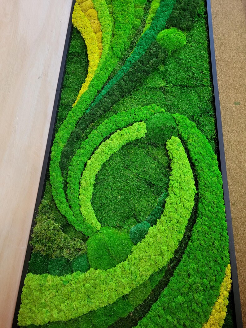 May include: A framed moss wall art piece with a green and yellow color scheme. The moss is arranged in a swirling pattern, creating a unique and modern design.