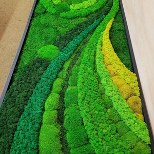 May include: A green moss wall art piece with a swirling design. The moss is arranged in different shades of green and yellow, creating a textured and organic look.